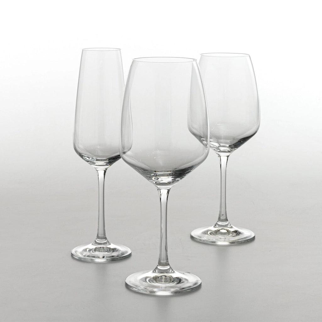 Scaligero Set 6 Calici per Degustazione Vini Bianchi Strutturati e Rossi Giovani in Vetro Sonoro Superiore Trasparente Capacità 45 cl Premium
