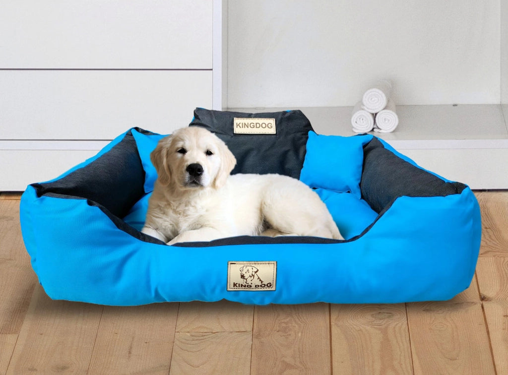 AIO FACTORY 145x115 cm KINGDOG Cuccia per cani impermeabile personalizzabile Blu