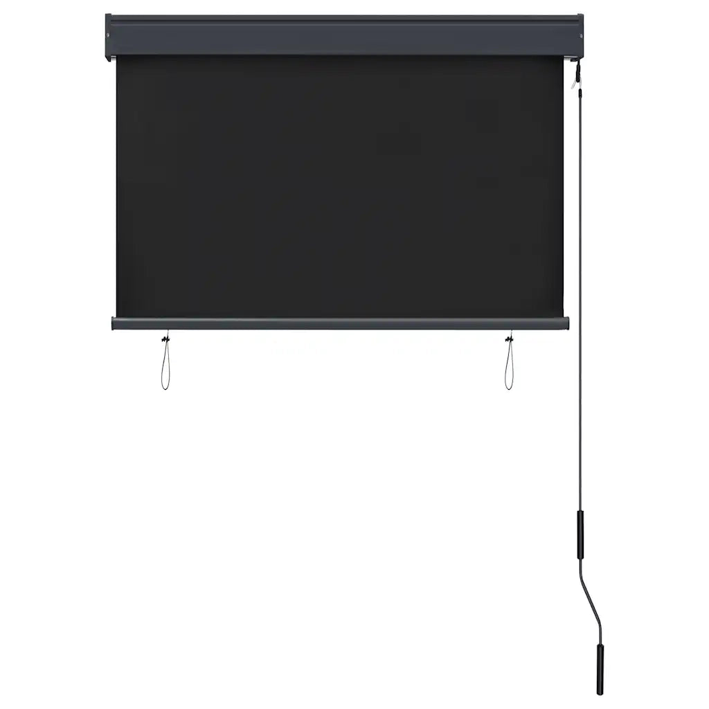Tenda a Rullo per Esterni 100x250 cm Antracite cod mxl 68275