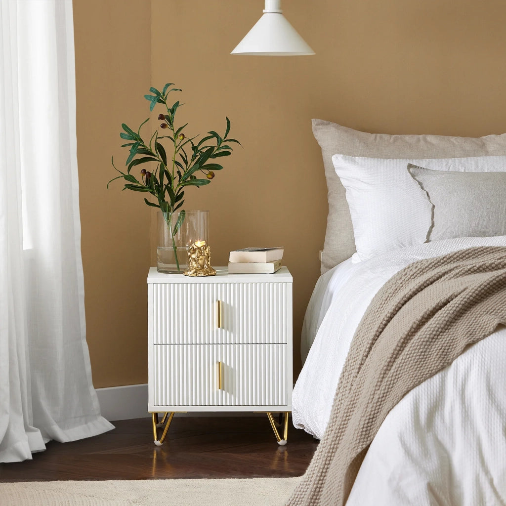 SoBuy Set di 2 Comodino Camera da Letto - Comodino con 2 Cassetti, Tavolino Salotto - Moderna Cassettiera L40 x P40 x A47 cm Bianco FBT115-Wx2