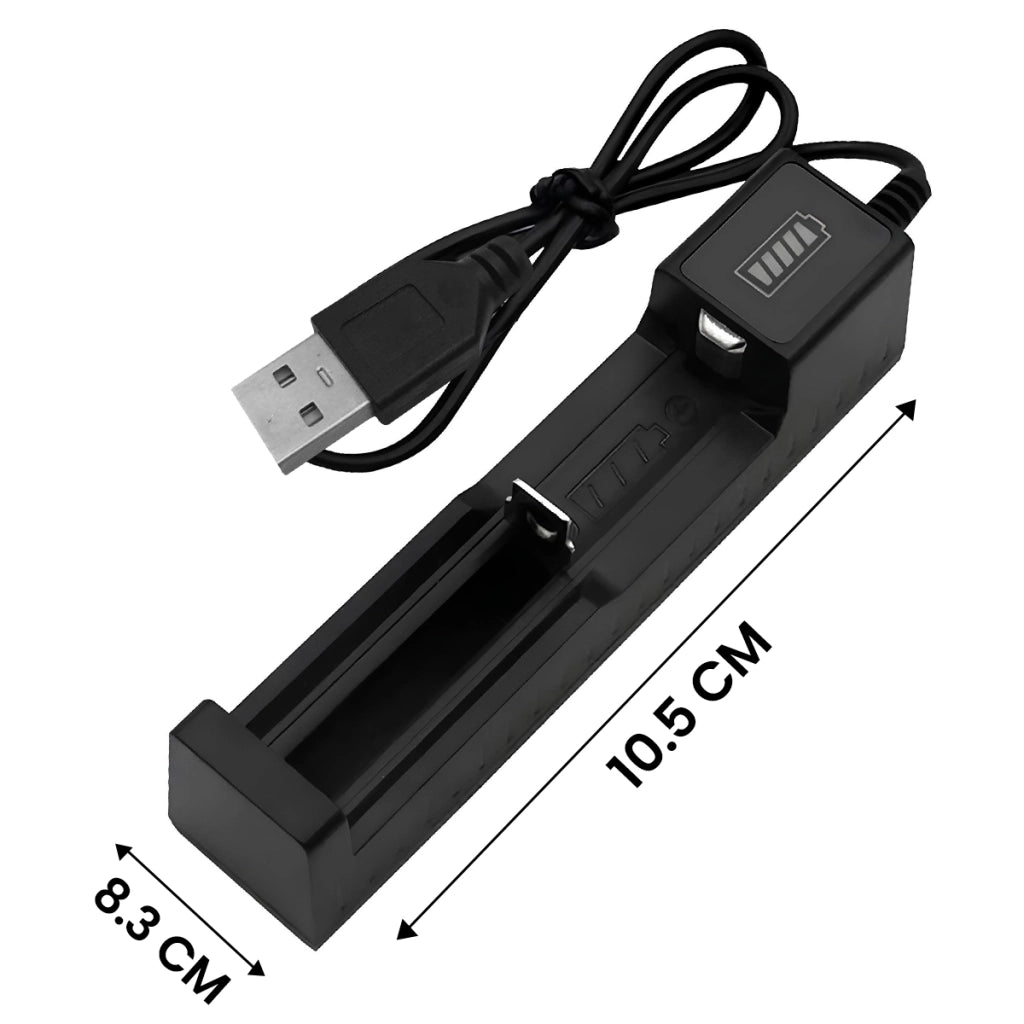 Caricatore universale per batterie cilindriche USB 2A con indicatore 4,2V Nero Avizar