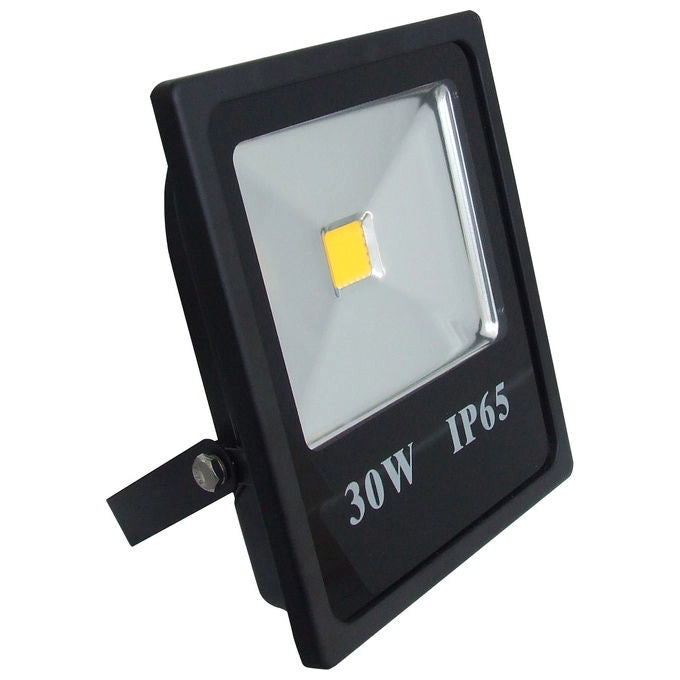 Bisonte Proiettore Led 10W 4000k 750lm Fly