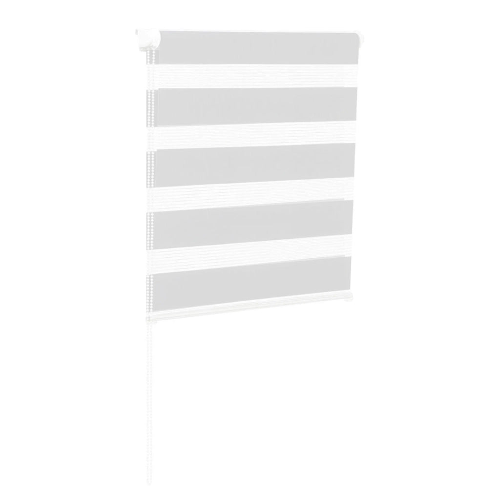 IDMarket - Set di 2 tende a rullo, giorno e notte, 40x170 cm, bianco