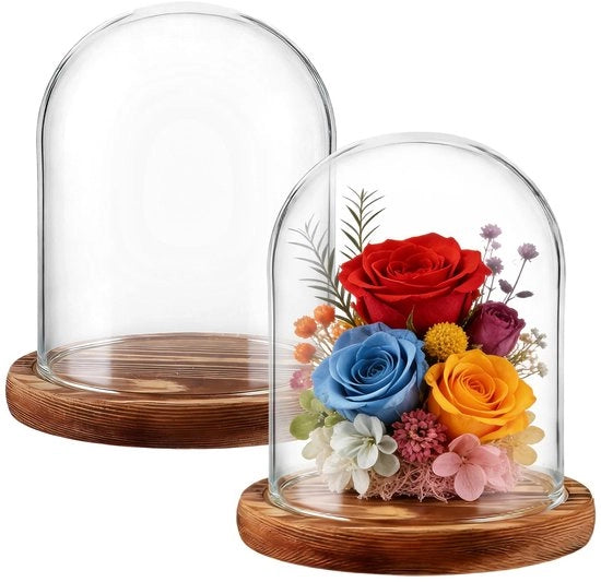 Decorazione in vetro per bambole o zoccoli - altezza 15 cm - base in legno - diametro 12 cm - copertura in vetro - diametro 12 cm - copertura in vetro con borosilicato di alta qualità