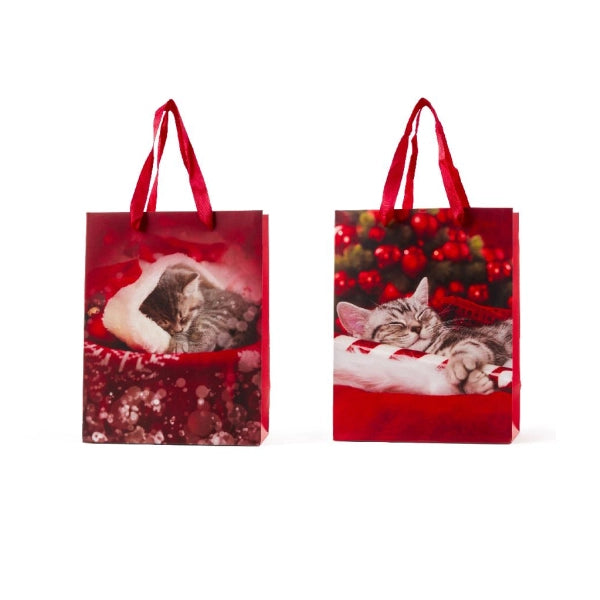 BORSA REGALO NATALIZIA CON GATTINI PREZZO CAD UNO