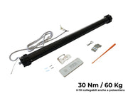 Motore radiocomandato per tapparelle con telecomando 60 kg - 30 nm