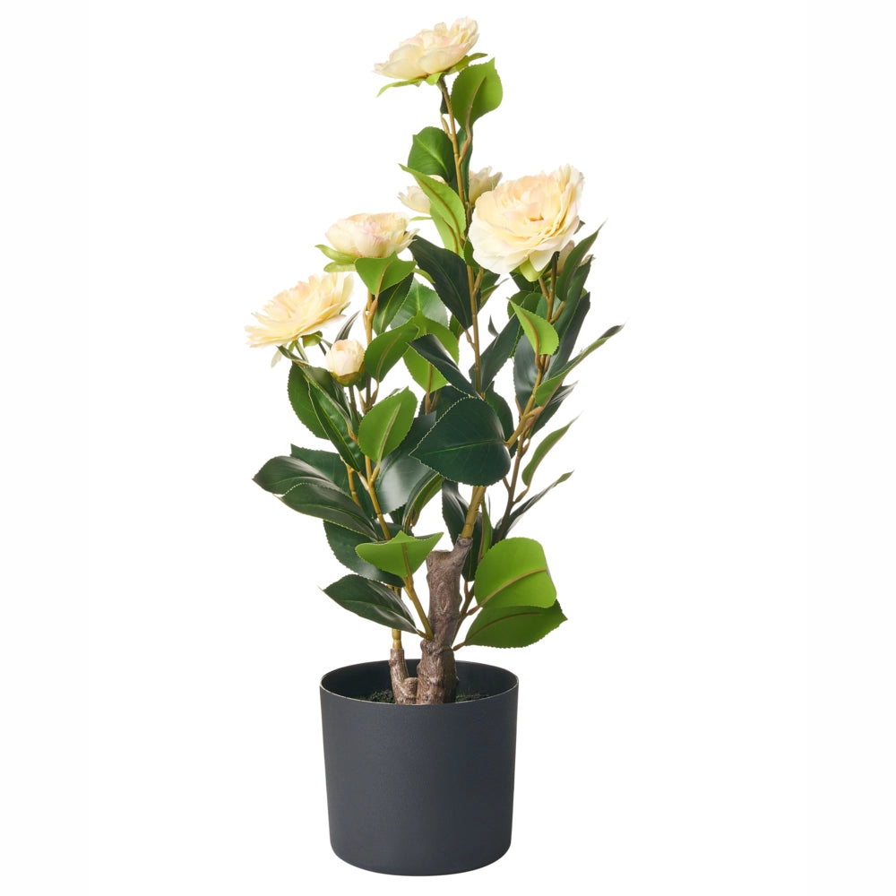 Pianta artificiale in vaso Materiale sintetico verde 60 cm Decorativa Finta Imitazione