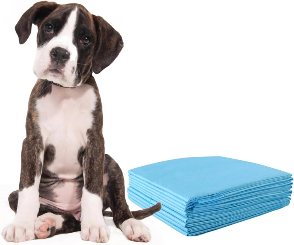Tappetini Igienici Grandi per Animali, Traverse Animali a 5 Strati, Assorbe Bene Senza Perdite (60 x 90 cm 150 Pezzi)