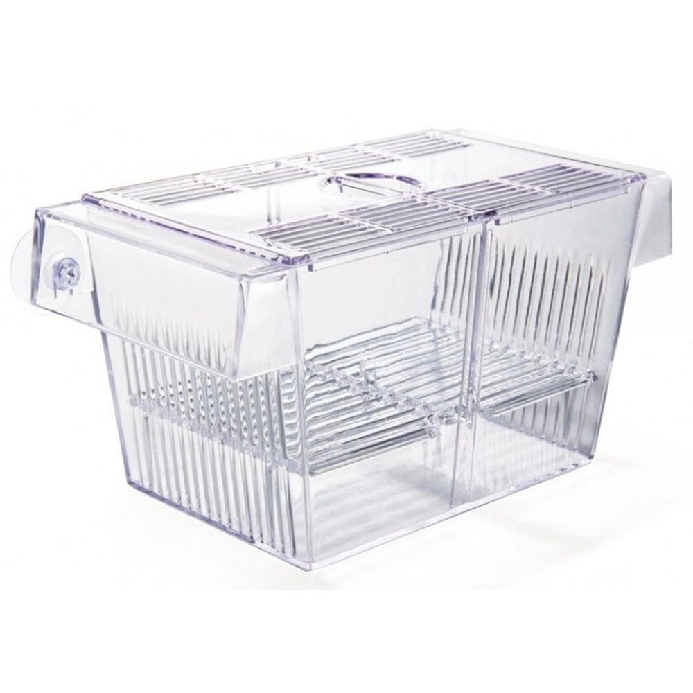 Prodac Domus Fish 2 cm20x10x10h - Sala parto con divisorio