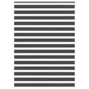 Tenda a Rullo Zebra Nero Larghezza Tessuto 155,9 cm Poliestere