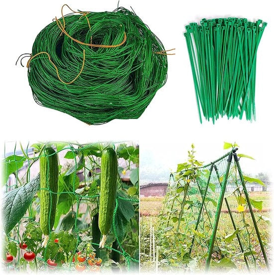 Clip per piante per pomodori, rose, zucchine e altre piante rampicanti, Rete per piante rampicanti 2,5m x 2m