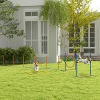 Kit di Agilità per Cane da 4 Pezzi con Slalom, Anello di Salto, Ostacoli, Kit di Addestramento, Sacco di Trasporto, Arancione