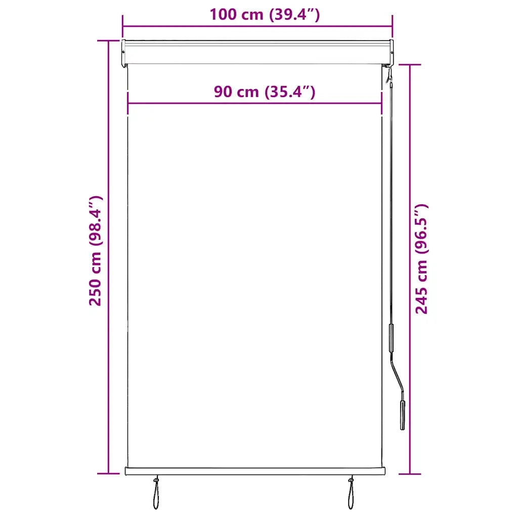 Tenda a Rullo per Esterni 100x250 cm Blu e Bianca 145955