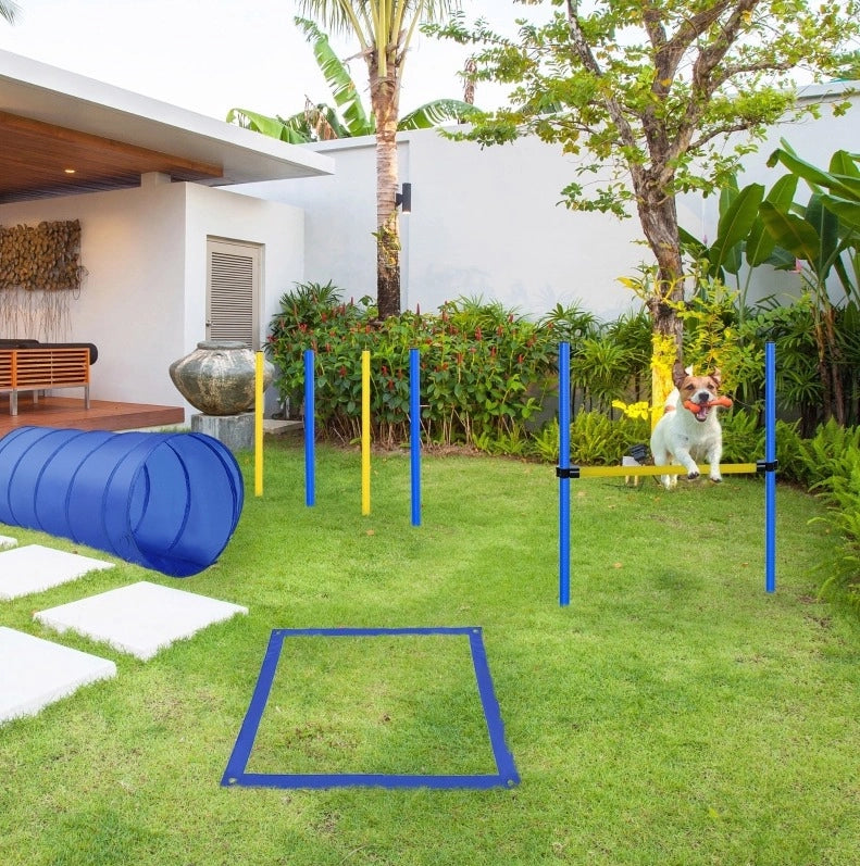 Set agility per cani giallo con tunnel, ostacoli e slalom