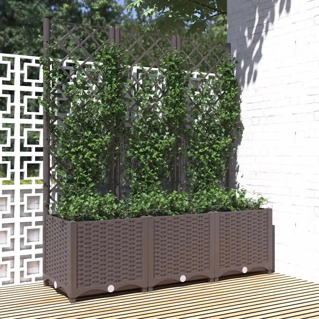 Fioriera | Cassetta per fiori | Vaso da giardino con traliccio marrone 120x40x136 cm PP