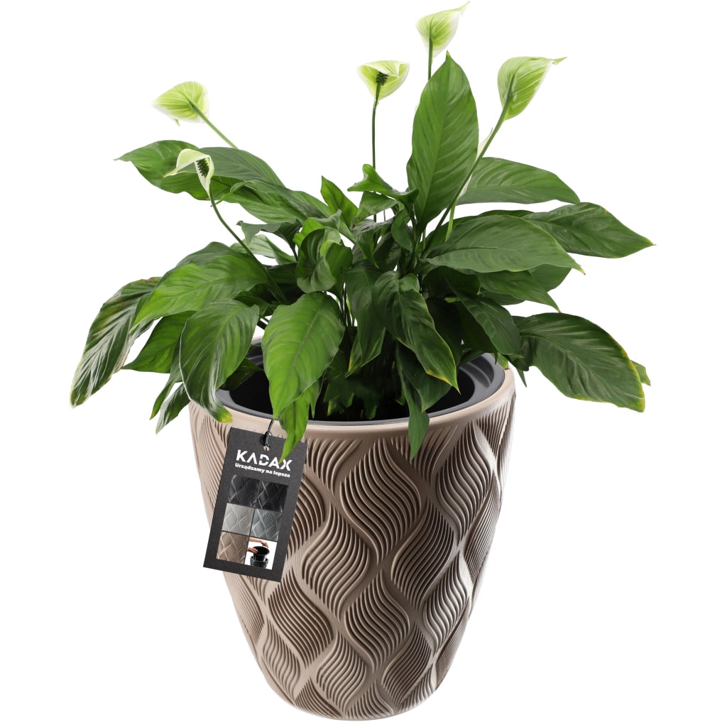Vaso da fiori KADAX con inserto 32 cm, copertura in plastica alta