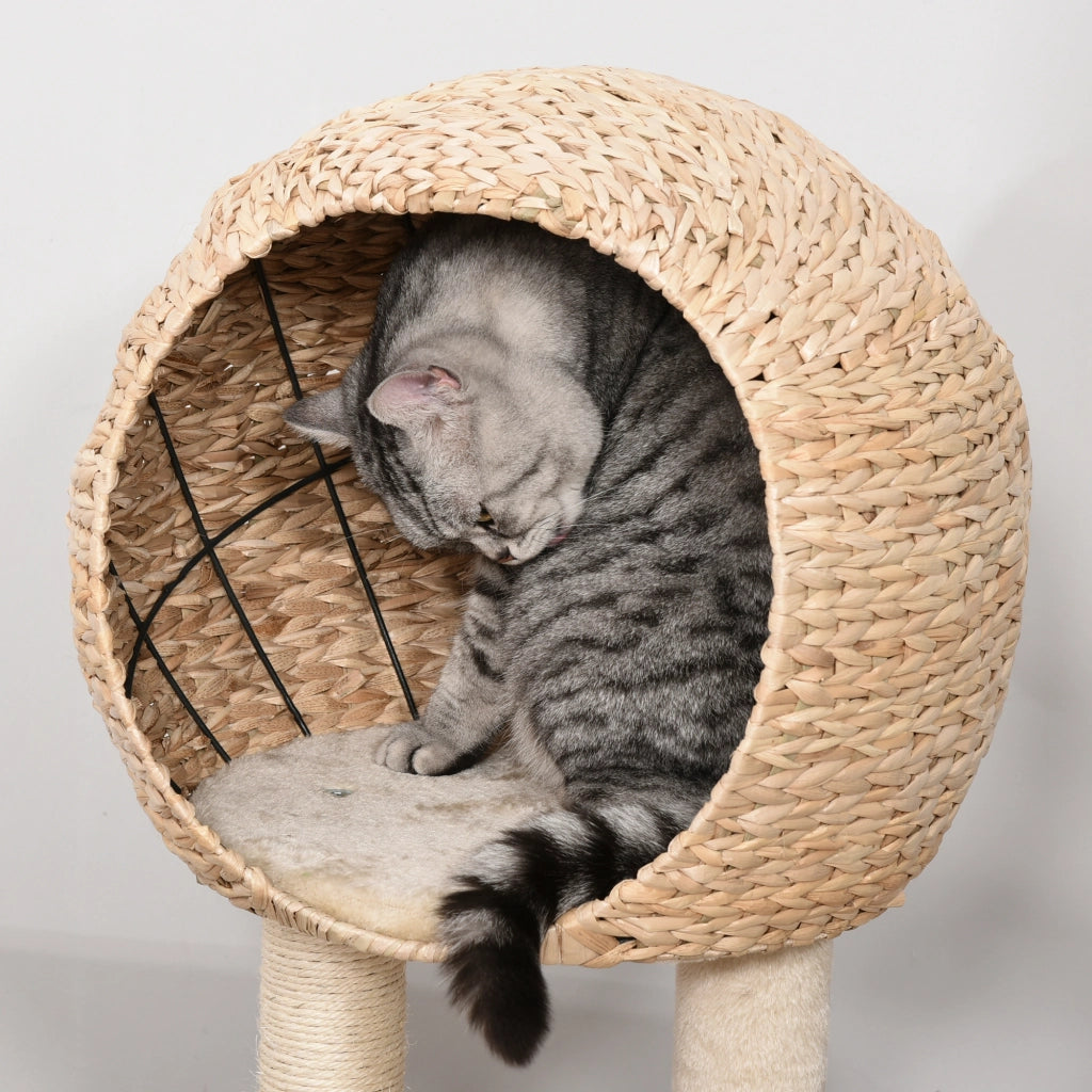 Tiragraffi per Gatti 100cm ¨C Xylo ¨C con Grotta, Piattaforme, Pali Sisal, Beige