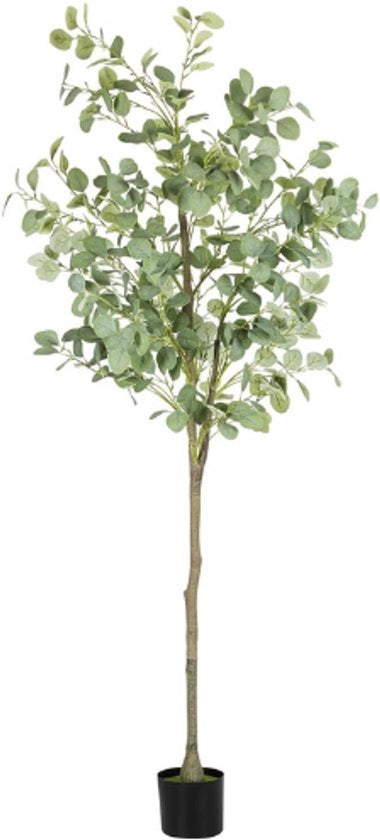 Eucalipto Finto Albero 150 Cm - Finto Albero in Vaso - Finto Albero di Seta - Decorazione Finta per Salotto - Ufficio - Interno Decorativo