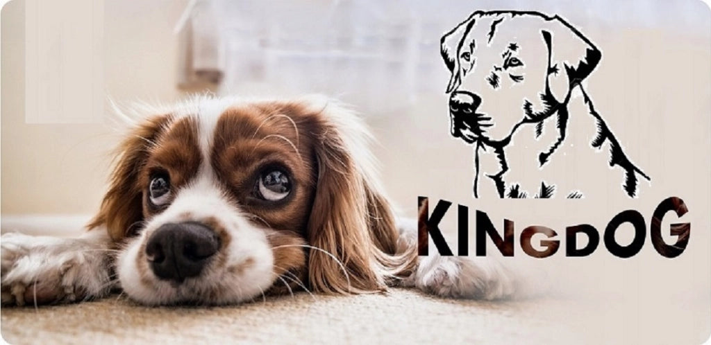 AIO FACTORY 100x75 cm KINGDOG Cuccia per cani impermeabile personalizzabile Silver Bones