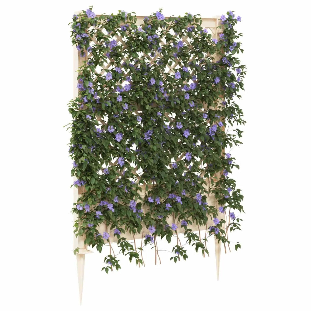 Trellis con Punta PP Bianco 42041743