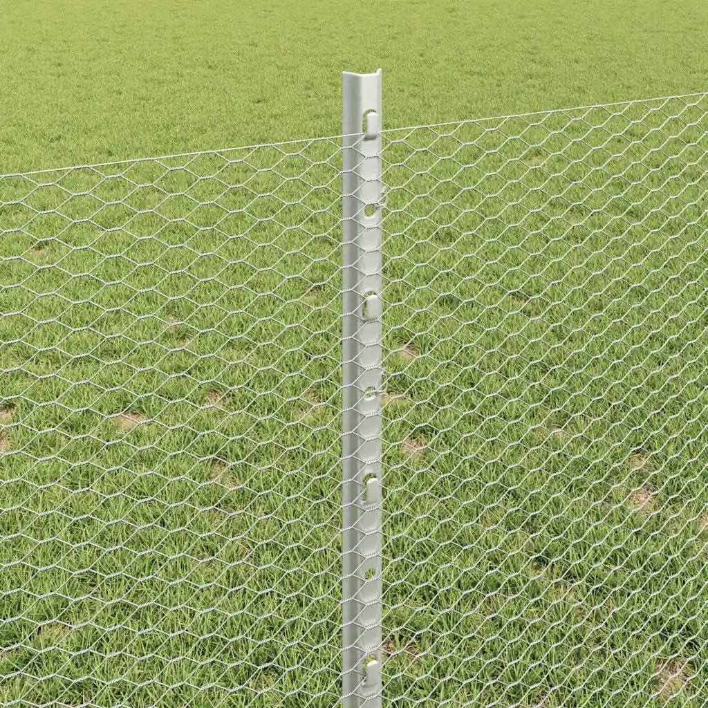 Recinzione da Giardino | Recinzione con Posto Argento
