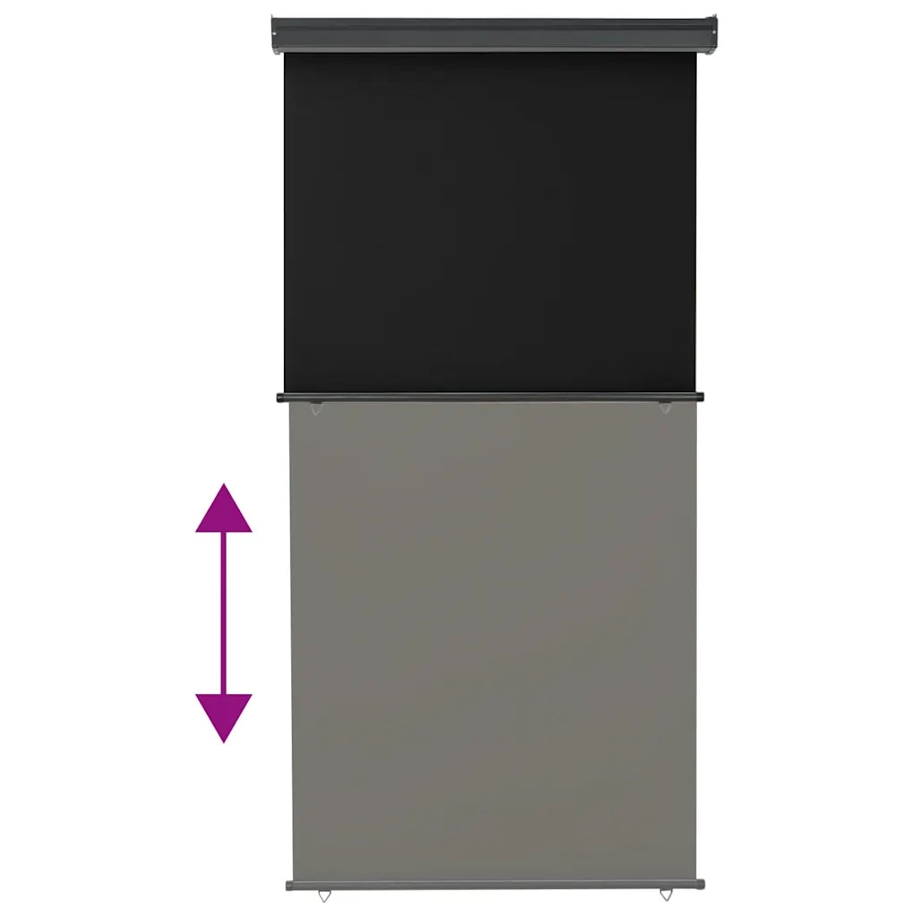 Tendalino Laterale per Balcone 125x250 cm Nero 48418