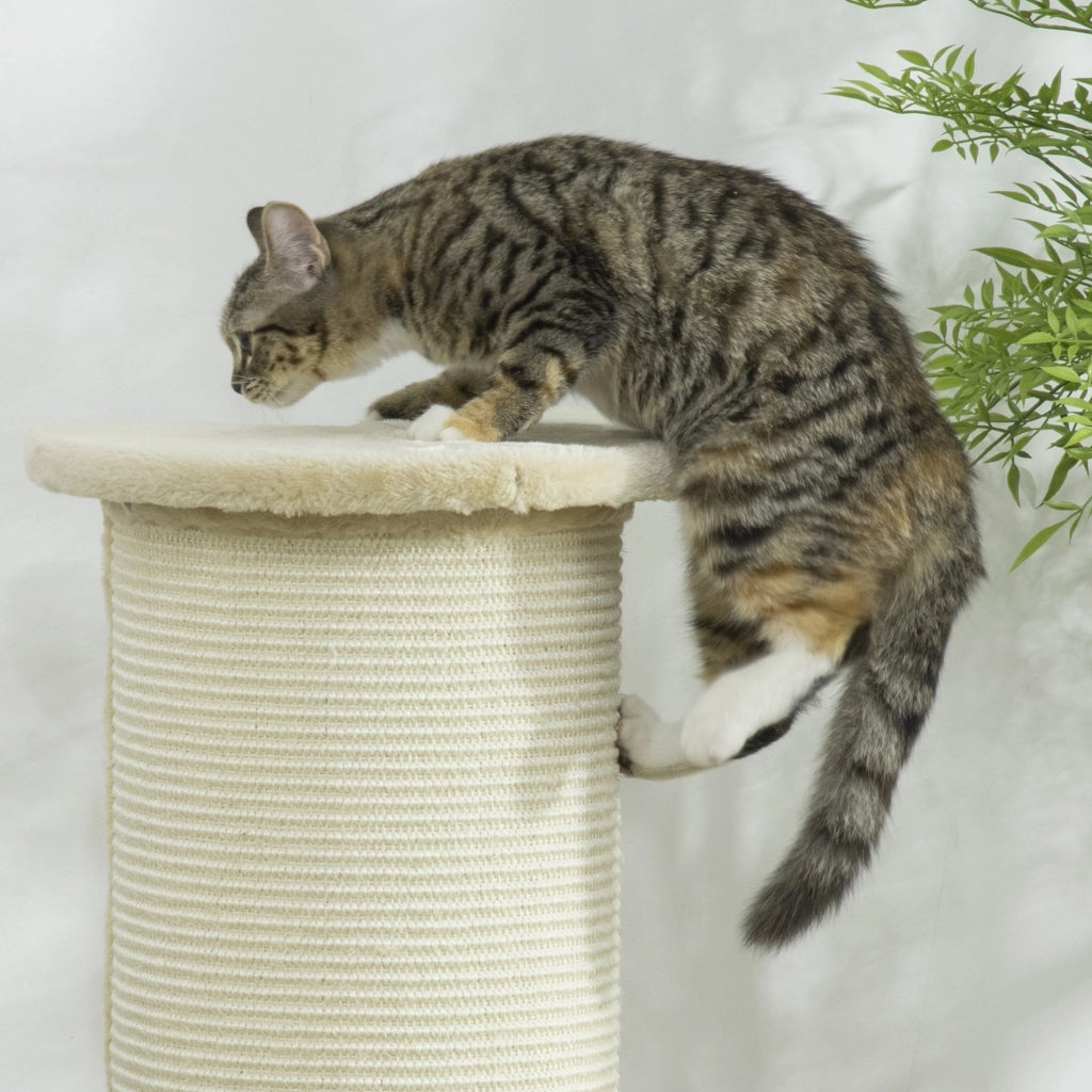 Tiragraffi per Gatti Angolare ¨C Zephmum ¨C 35x35x85 cm, Bianco Crema