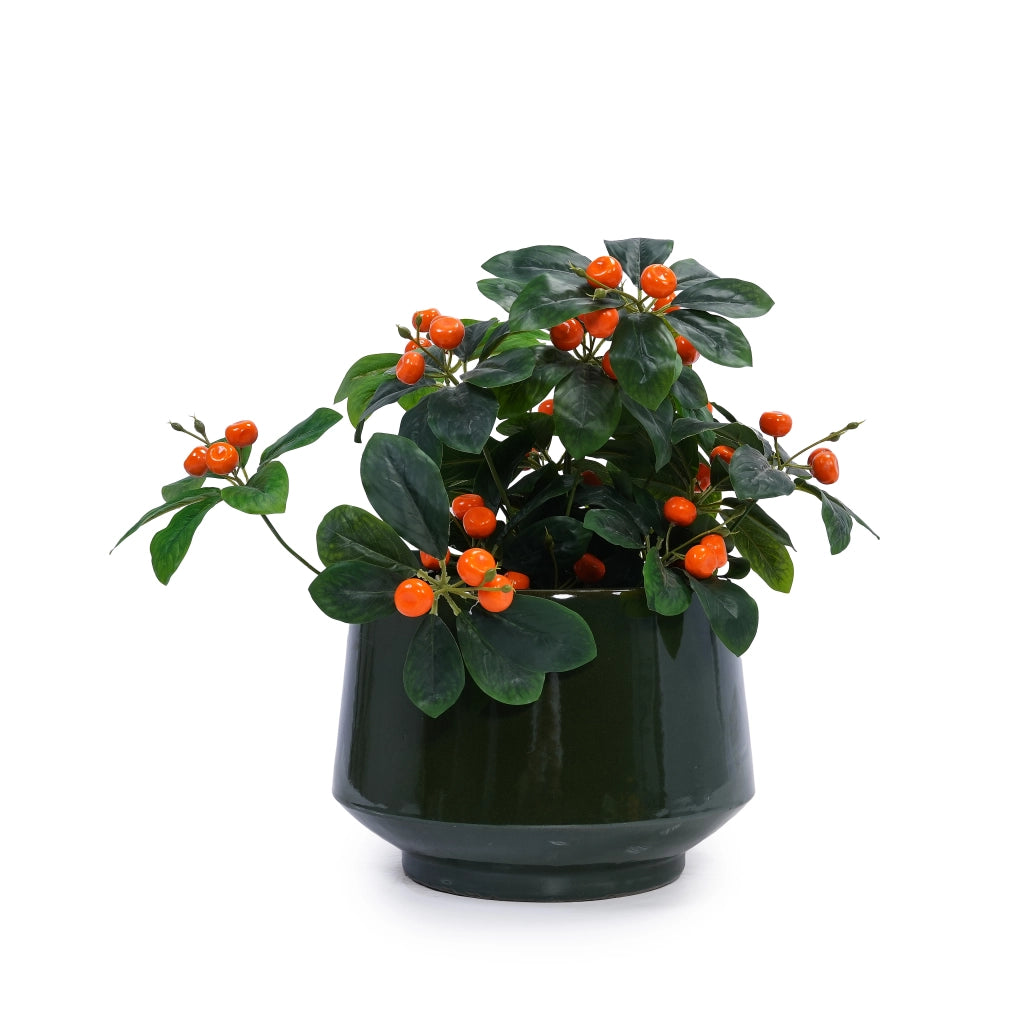 VASO FIORIERA in ceramica verde antico lucido con foro di drenaggio