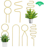 Sostegno per piante di interni e esterni - Set da 5 pezzi