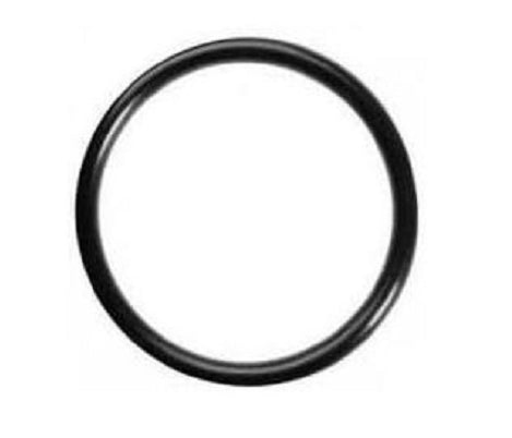 Didiesse Ricambi Guarnizione O-Ring 44mm FR022 Compatibile con Didiesse Frog