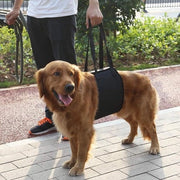 Aiuto per cani deboli - per uso anteriore o posteriore - aiuta a sollevare e a far camminare - cani feriti o anziani