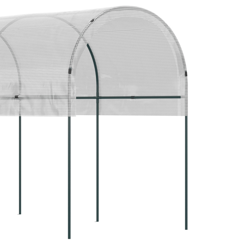 Serra da giardino per pomodori ¨C zephmum ¨C 4x1.2x1.7m 5 archi in acciaio con telo PE