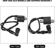 Bobine di Ricambio - 150CC 200CC 250CC - affidabile e duraturo - compatibilità universale - Quad Dirt Bike Scooter - Adatto per...