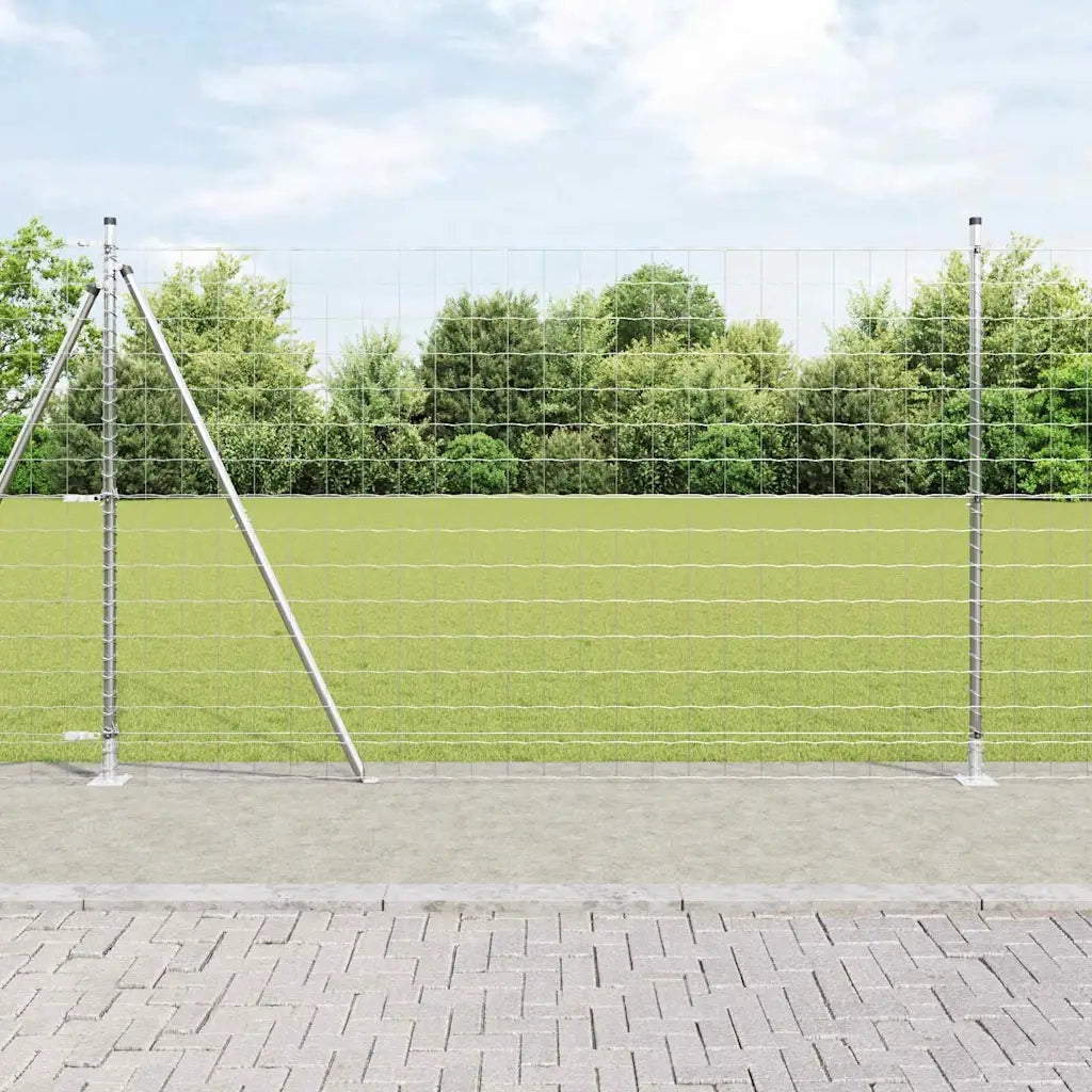 Recinzione con Posto Argento 1,6 x 10 m Acciaio
