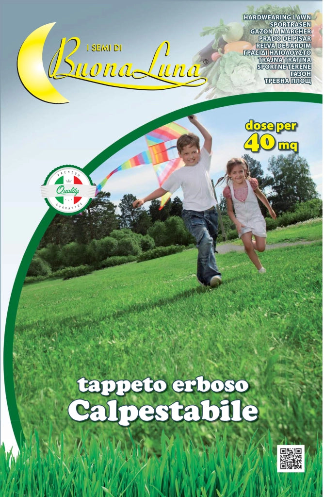 SEMI PRATO CALPESTABILE 1 KG- HORTUS SEMENTI- 1,0 pz