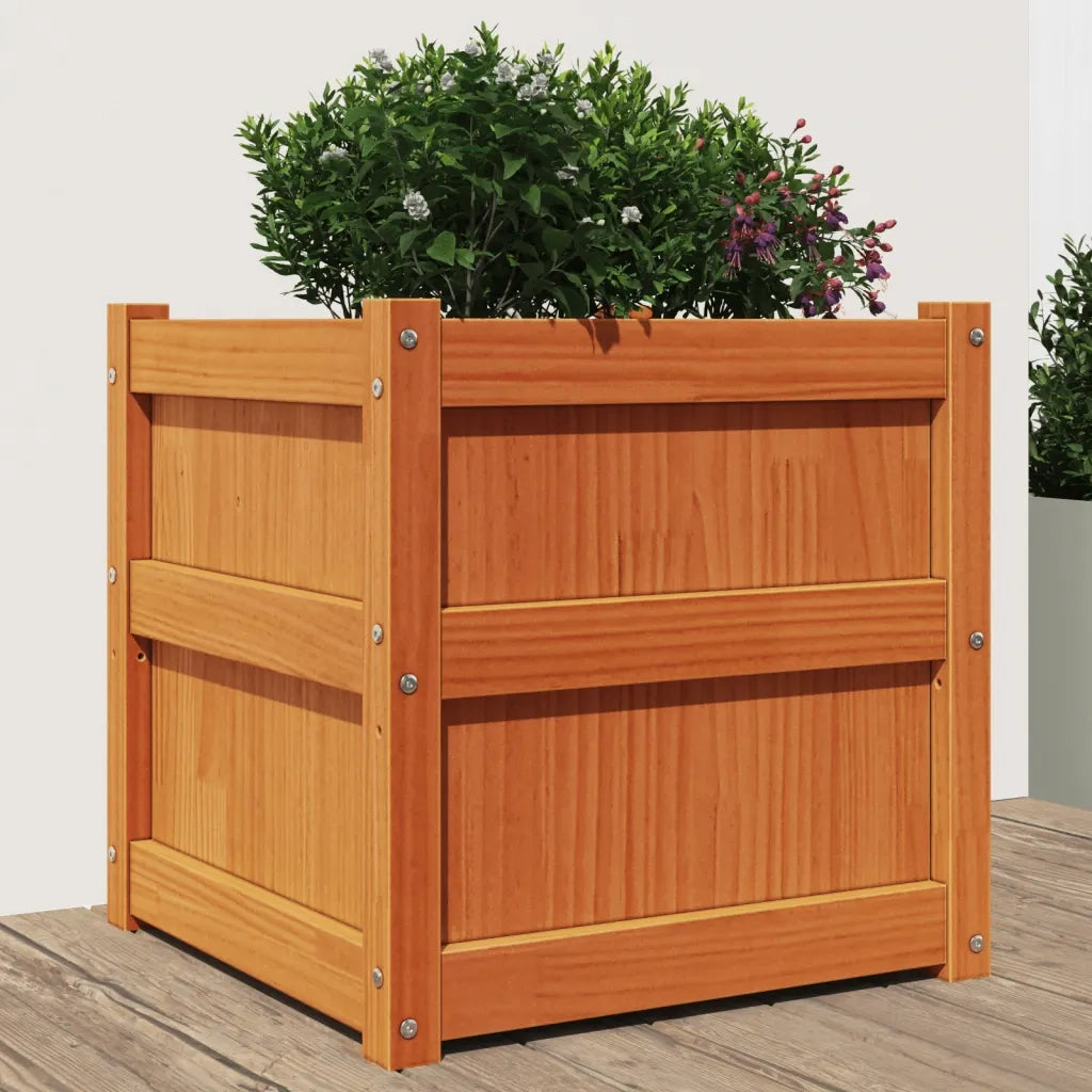 Fioriera Giardino Marrone Cera 50x50x50 cm Legno Massello Pinocod mxl 134563