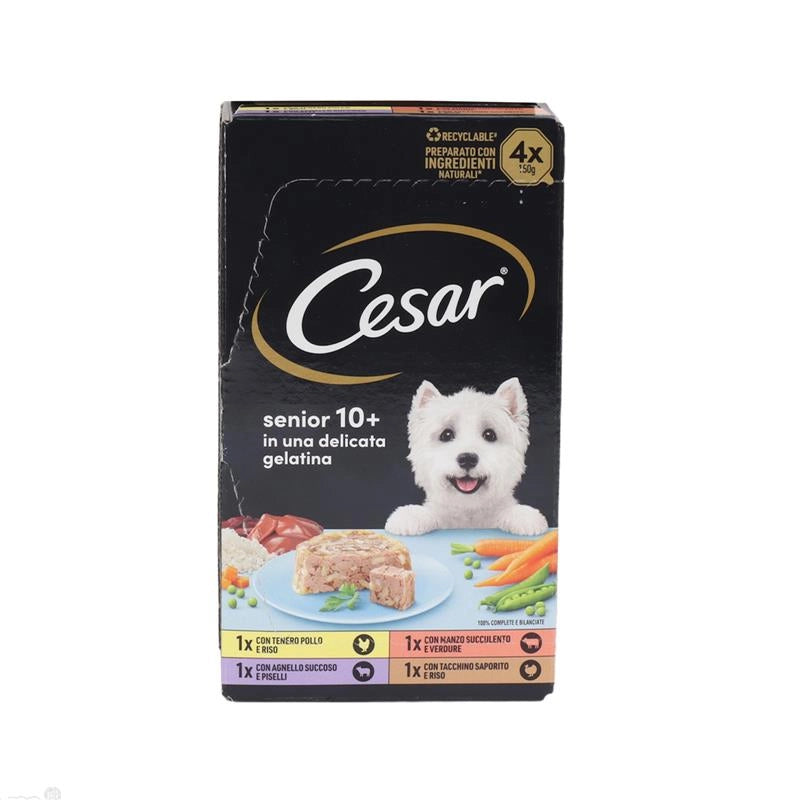 CESAR VASCHETTE IN GELATINA MULTIPACK SENIOR 10+ 4 X 150 GR