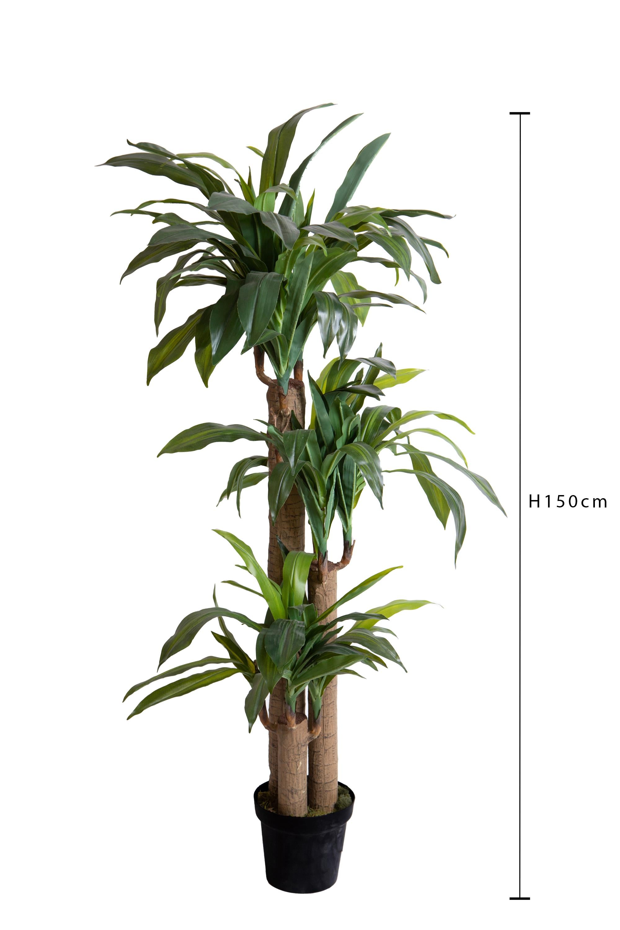 Pianta Artificiale Tronco Della Felicità con Vaso H 150 cm