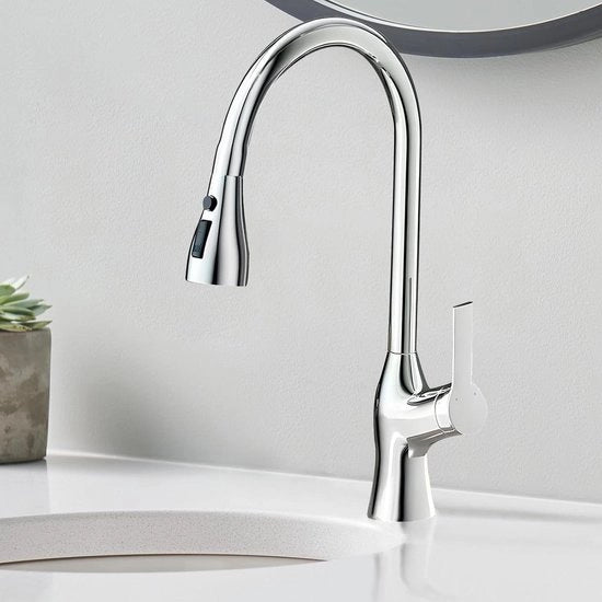 Acquisto di cucina con sifone retrattile - Acciaio inossidabile - Design moderno
