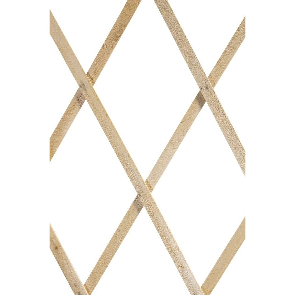 Trade Shop - Traliccio Legno Rete Estensibile Piante Rampicanti Staccionata 100x300cm 206430 -