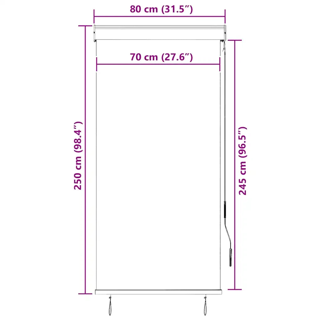 Tenda a Rullo per Esterni 80x250 cm Crema 145953