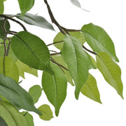 Ficus Nano Artificiale con Vaso 60 cm CFW8952332