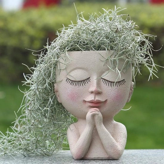 Piantina Succulente con Fusto di Drenaggio - Disegno di Testa Kawaii - Vaschetta Unica per Indoor e Outdoor