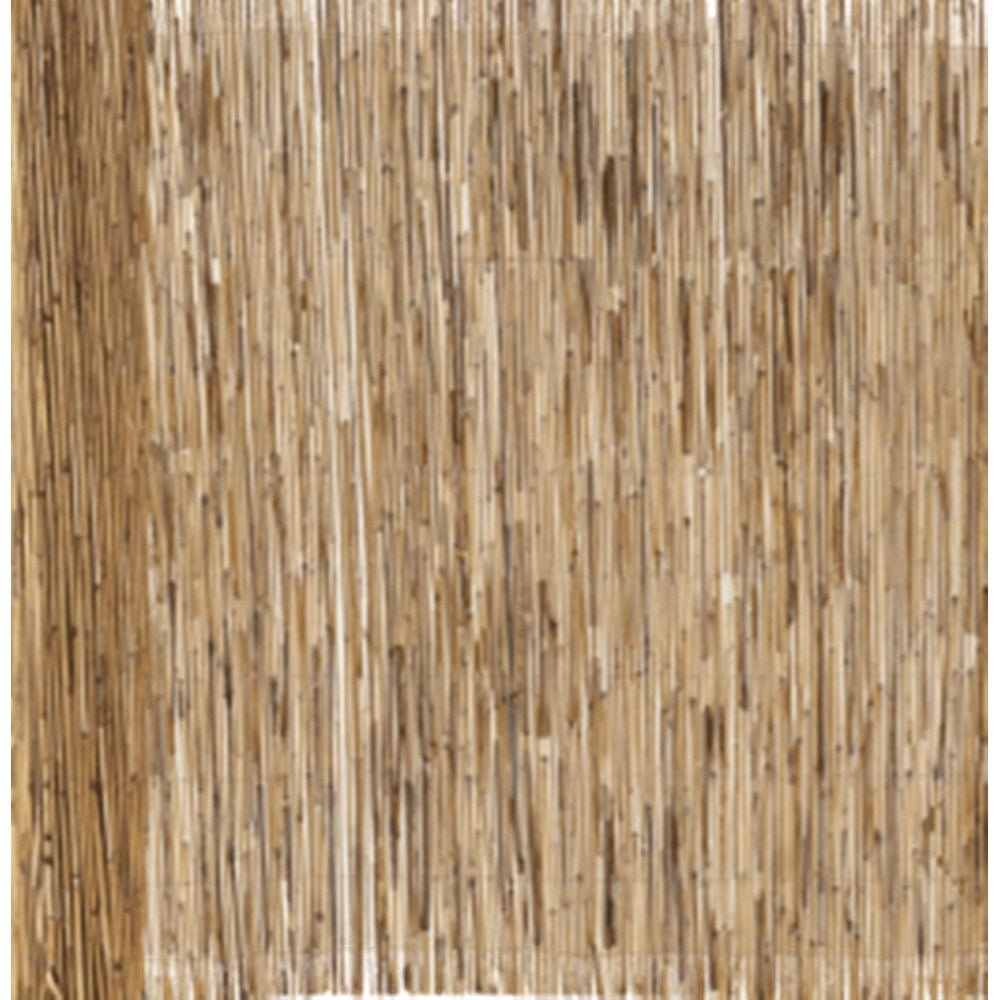 Trade Shop - Set 2pz Arella Con Cannette In Bambu' 100x300cm Canniccio Ombra Recinzione Giardino 03775 -
