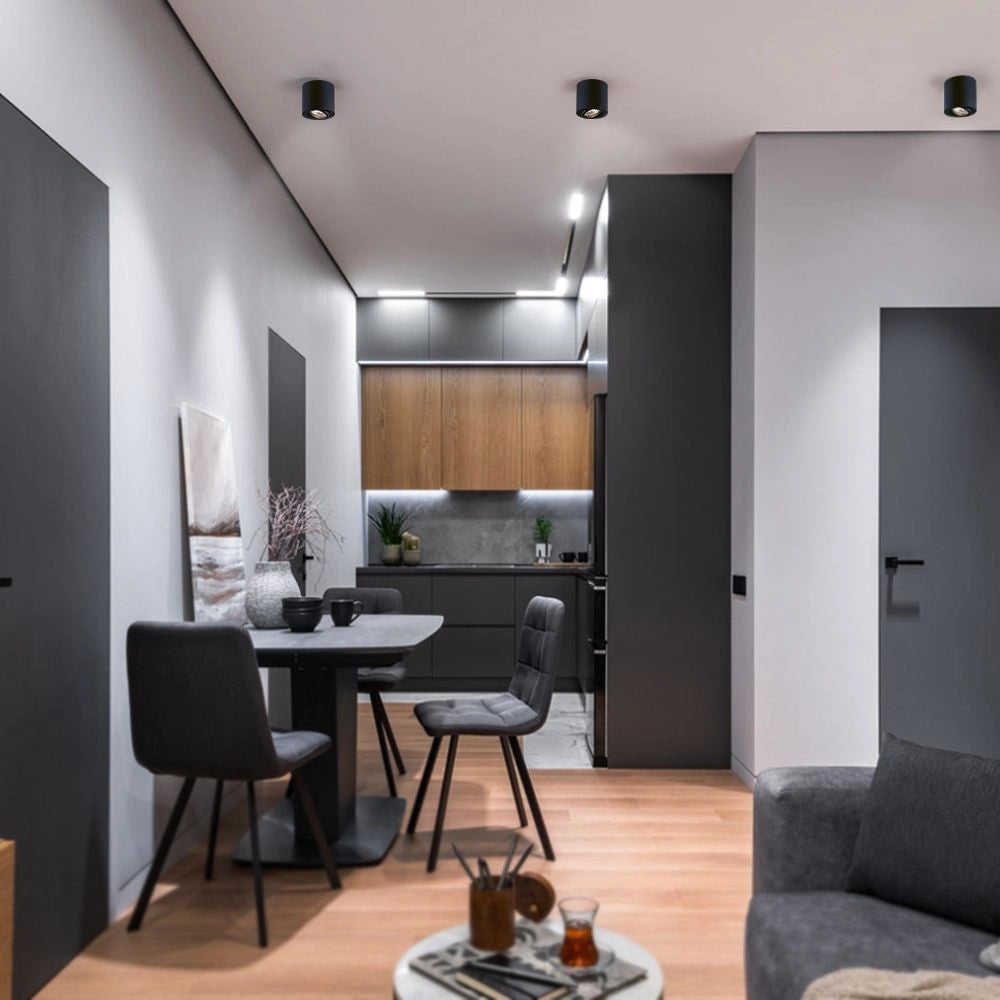 Faretto da soffitto tubo nero orientabile 1xGU10 Videx