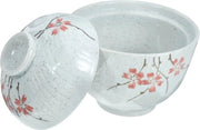 Set di 4 ciotole in ceramica con coperchio - stile giapponese ciotola da zuppa e ciotola per ramen