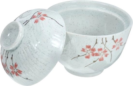Set di 4 ciotole in ceramica con coperchio - stile giapponese ciotola da zuppa e ciotola per ramen