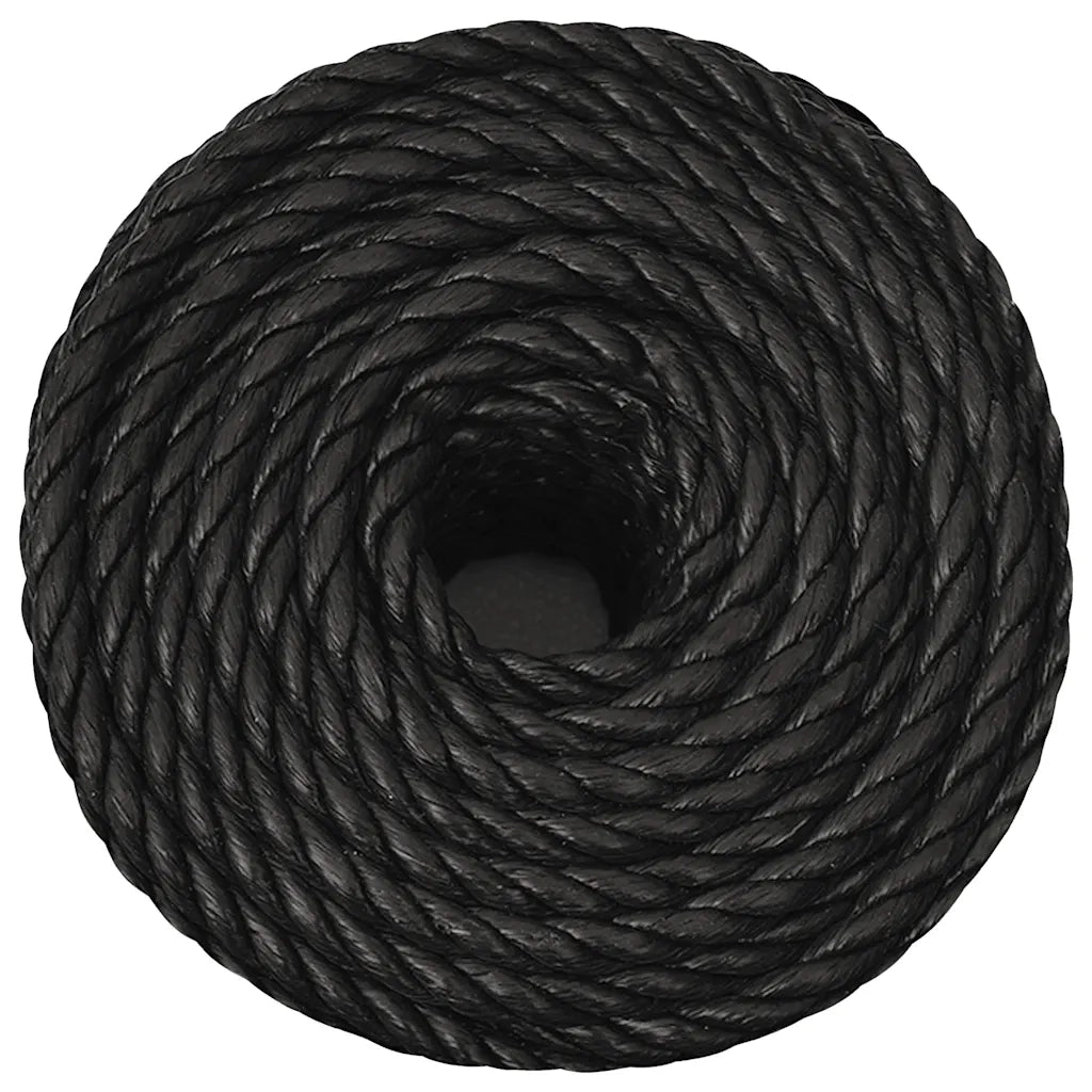 Corda da Lavoro Nera 10 mm 500 m in Polipropilene 153015