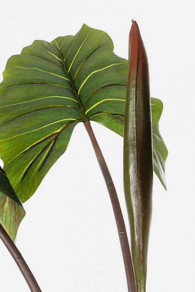 Set 2 Piante Artificiali Dieffenbachia Ø100x134 cm in Plastica con Vasi Verde