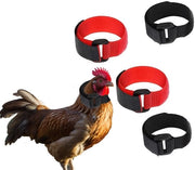 Cinturino per pollo adattabile - Anti-kraaien - Nylon - Set da 4 - Riduce il rumore dei gallo - Previene il pianto delle galline - Cinturino